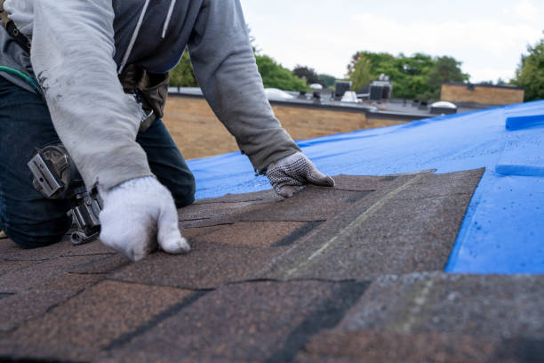 Roof Gutter Cleaning in Spring City, TN