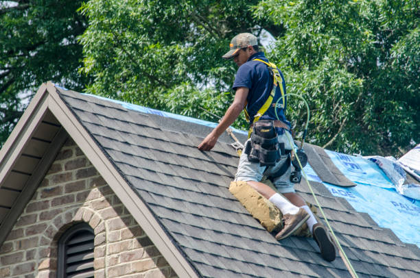 Best Commercial Roof Installation  in Spring City, TN